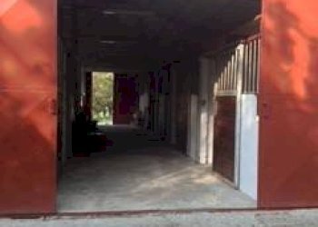 Capannone Via Gianassi, Cantalupo Ligure - foto 4