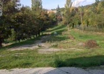 Capannone Via Gianassi, Cantalupo Ligure - foto 6