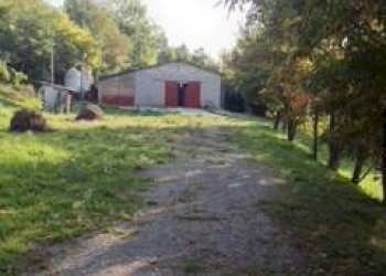 Capannone Via Gianassi, Cantalupo Ligure - foto 8