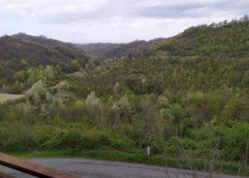 Trilocale Località Nebbioli, Gavi - foto 2