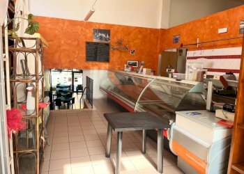 Locale Commerciale Pitigliano - foto 12