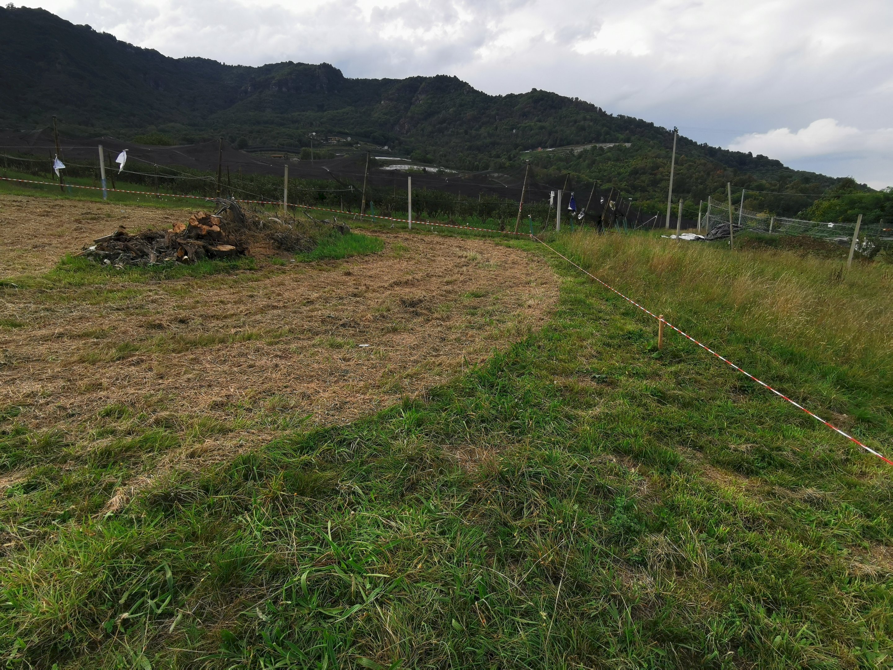 Building land Via Madonna Occa, snc, Envie - photo 1