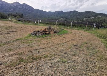 Terreno edificabile Via Madonna Occa, snc, Envie - foto 6