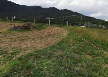 Terreno edificabile Via Madonna Occa, snc, Envie - foto 1