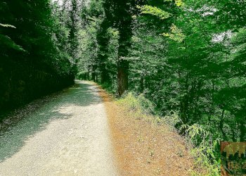 Villa Regione Carlevè 36, Villarbasse (TO), Villarbasse - foto 18