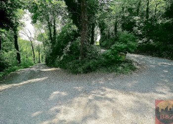 Villa Regione Carlevè 36, Villarbasse (TO), Villarbasse - foto 19