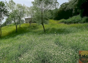 Villa Regione Carlevè 36, Villarbasse (TO), Villarbasse - foto 21