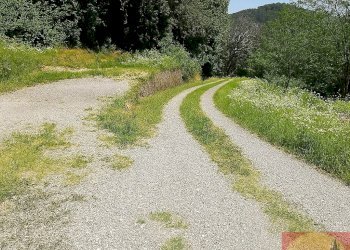 Villa Regione Carlevè 36, Villarbasse (TO), Villarbasse - foto 22