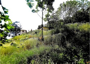 Villa Regione Carlevè 36, Villarbasse (TO), Villarbasse - foto 161