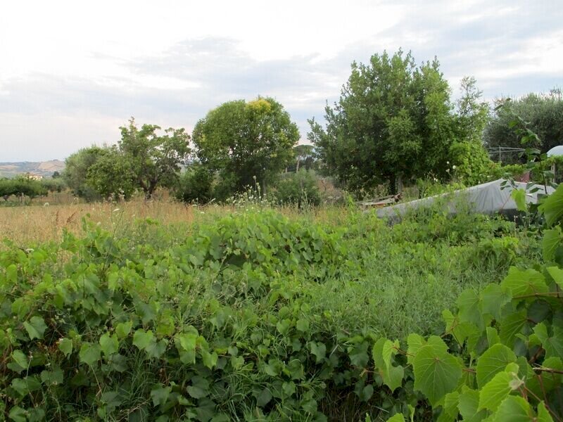 Foto 1 - Terreno edificabile Via Tancredi, Giulianova - foto 1