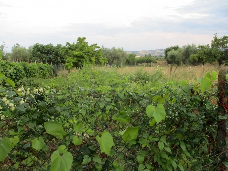 Foto 2 - Terreno edificabile Via Tancredi, Giulianova - foto 2