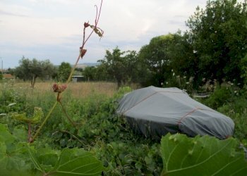 Foto 4 - Terreno edificabile Via Tancredi, Giulianova - foto 4