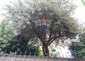 Edificio all\'aperto - Trilocale Via Ortisei
 
5, Acireale - foto 42