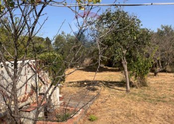 Giardino - Villa VIA SCIASCIA - C.DA PIETREROSSE, Augusta - foto 1