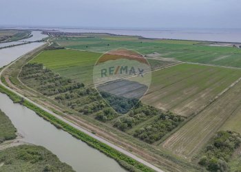 Giardino - Terreno agricolo Via per Gorino, Goro - foto 5