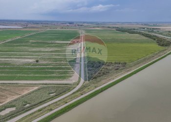 Non correlato - Terreno agricolo Via per Gorino, Goro - foto 15