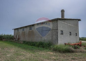 Casa all\'aperto - Terreno agricolo Via per Gorino, Goro - foto 25