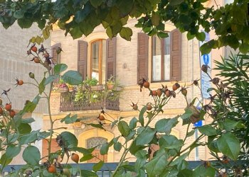 Foto 27 - Appartamento Centro Storico, Fano - foto 27