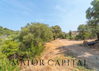 Foto 41 - Villa Borgo Stazzu Brusgiatu, San Teodoro - foto 41