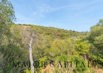 Foto 43 - Villa Borgo Stazzu Brusgiatu, San Teodoro - foto 43