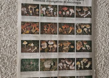 Foto 17 - Bilocale VIA CAMBREMBO
 
4, Valleve - foto 17