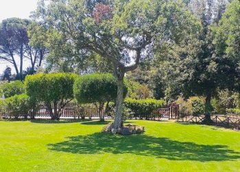 Foto 2 - Three-room apartment Via della Tartana, Castiglione della Pescaia - photo 2