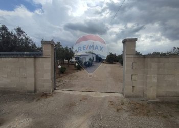 Non correlato - Casa indipendente Località Barrocchia
 
snc, Campi Salentina - foto 2