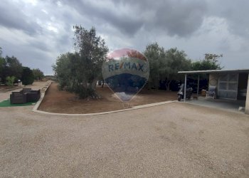 Terrazza - Casa indipendente Località Barrocchia
 
snc, Campi Salentina - foto 3