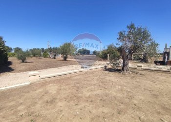 Non correlato - Casa indipendente Località Barrocchia
 
snc, Campi Salentina - foto 19