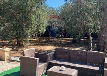 Terrazza - Casa indipendente Località Barrocchia
 
snc, Campi Salentina - foto 22