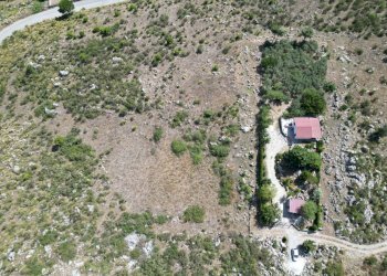 Foto 12 - Terreno agricolo Contrada Rebuttone, Altofonte - foto 11