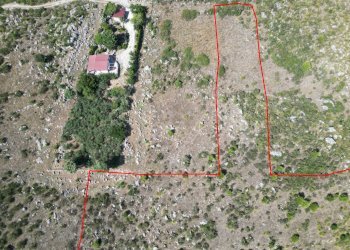 Foto 15 - Terreno agricolo Contrada Rebuttone, Altofonte - foto 14