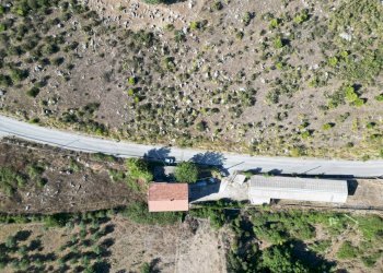 Foto 17 - Terreno agricolo Contrada Rebuttone, Altofonte - foto 16