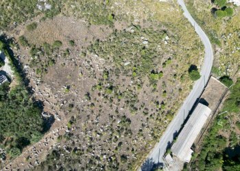 Foto 19 - Terreno agricolo Contrada Rebuttone, Altofonte - foto 18