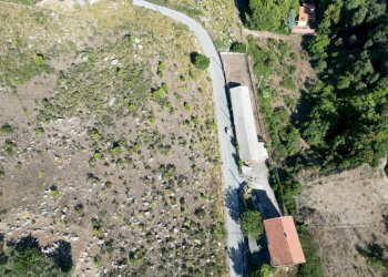 Foto 21 - Terreno agricolo Contrada Rebuttone, Altofonte - foto 20