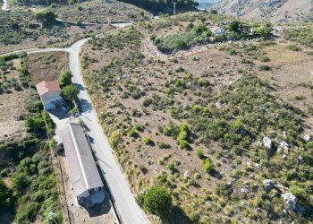 Foto 29 - Terreno agricolo Contrada Rebuttone, Altofonte - foto 28