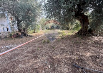 Giardino - Villa Chiesazza Sperone
 
12/C, Altavilla Milicia - foto 6