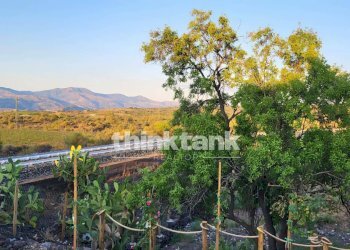 Foto 14 - Rustic Viale Regina Margherita, Castiglione di Sicilia - photo 14