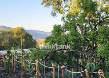 Foto 20 - Rustic Viale Regina Margherita, Castiglione di Sicilia - photo 20