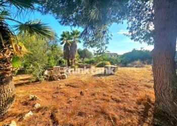 Foto 30 - Villa Strada provinciale 44, Scicli - foto 30