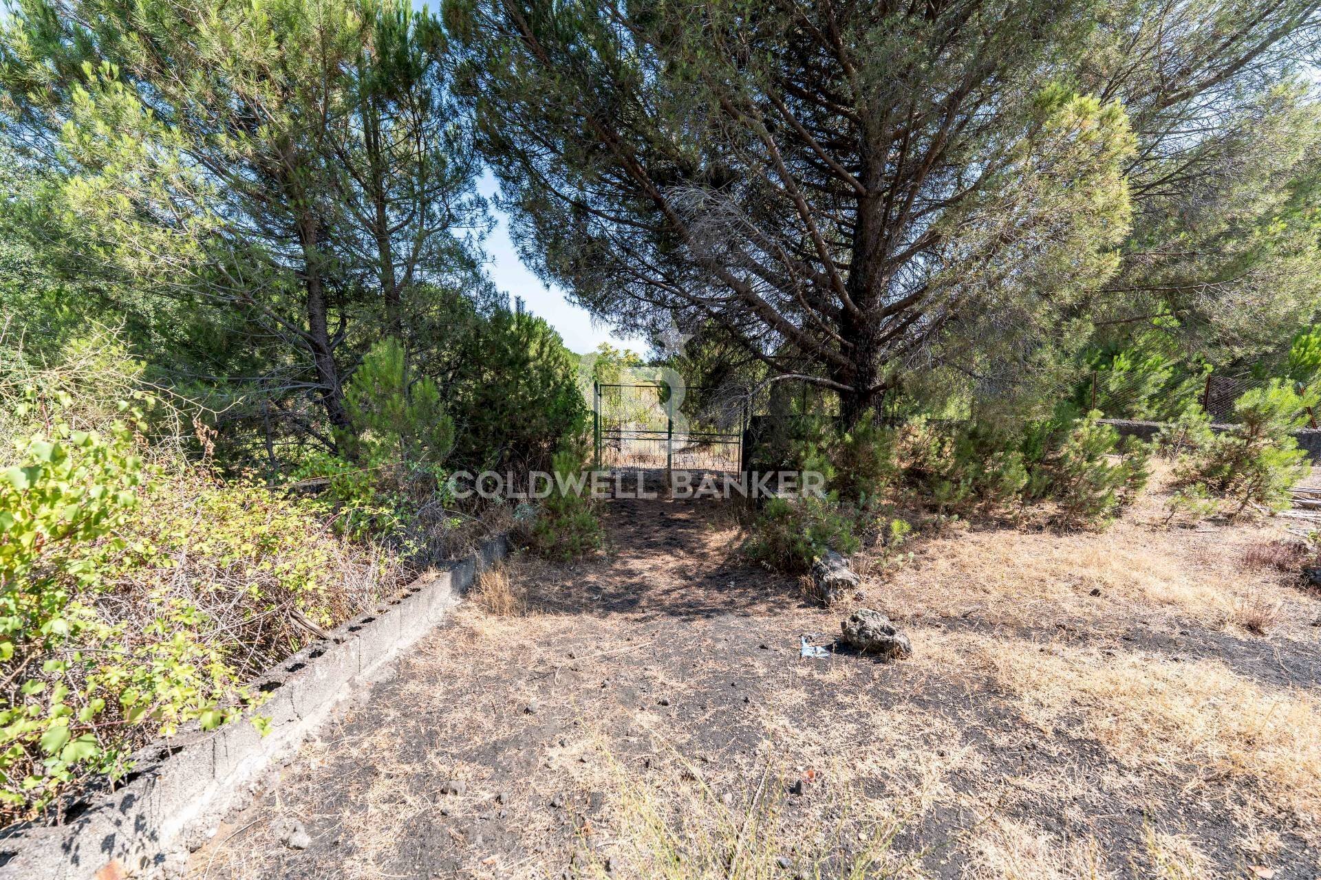 Foto 1 - Terreno agricolo Via Ragala Montarso, Nicolosi - foto 1