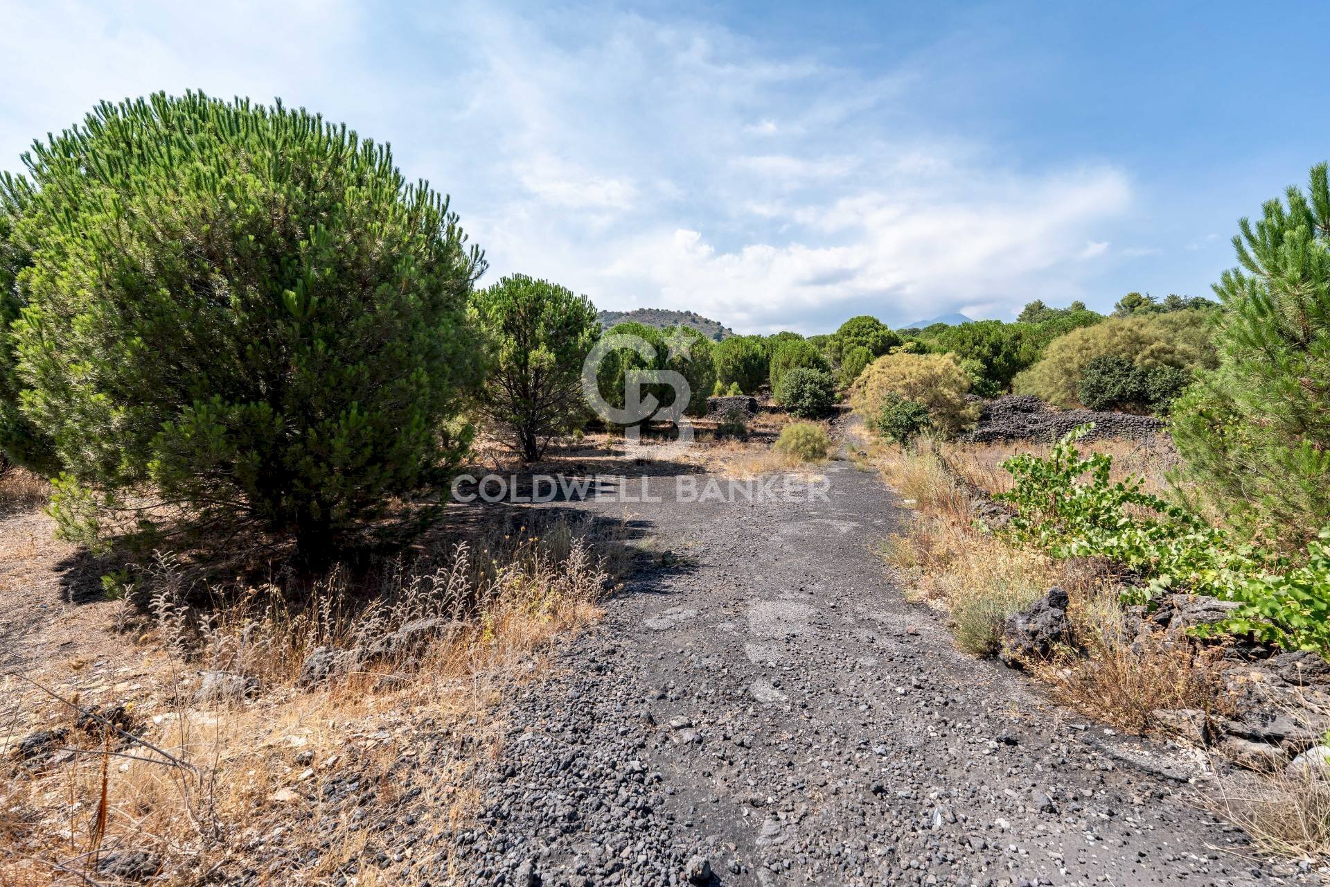 Foto 2 - Terreno agricolo Via Ragala Montarso, Nicolosi - foto 2