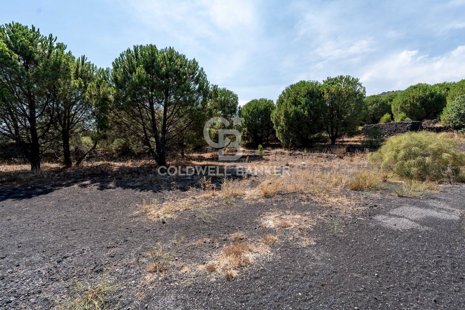 Foto 3 - Terreno agricolo Via Ragala Montarso, Nicolosi - foto 3