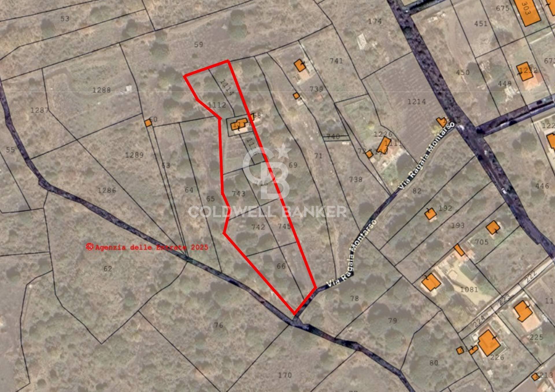 Foto 20 - Terreno agricolo Via Ragala Montarso, Nicolosi - planimetria 1