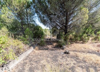 Foto 2 - Terreno agricolo Via Ragala Montarso, Nicolosi - foto 2