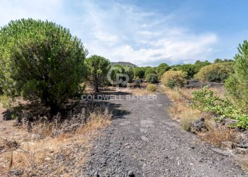 Foto 3 - Terreno agricolo Via Ragala Montarso, Nicolosi - foto 3