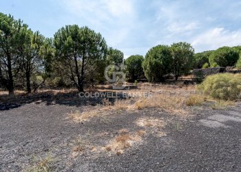 Foto 4 - Terreno agricolo Via Ragala Montarso, Nicolosi - foto 4