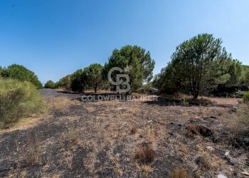 Foto 5 - Terreno agricolo Via Ragala Montarso, Nicolosi - foto 5