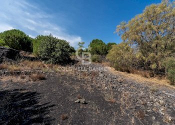 Foto 6 - Terreno agricolo Via Ragala Montarso, Nicolosi - foto 6