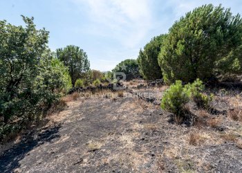 Foto 8 - Terreno agricolo Via Ragala Montarso, Nicolosi - foto 8